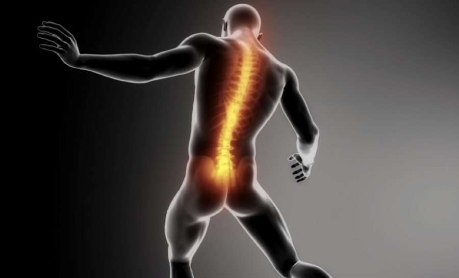Why do we fear low back pain so much?